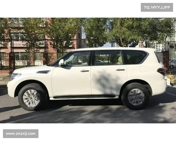 土耳其赛事最新攻略详细解读全方位解析让你轻松掌握比赛动态